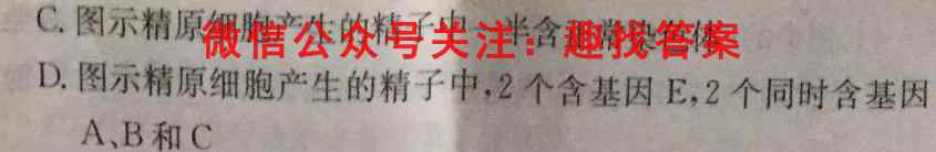 [马鞍山一模]马鞍山市2023年高三第一次教学质量监测生物试卷答案