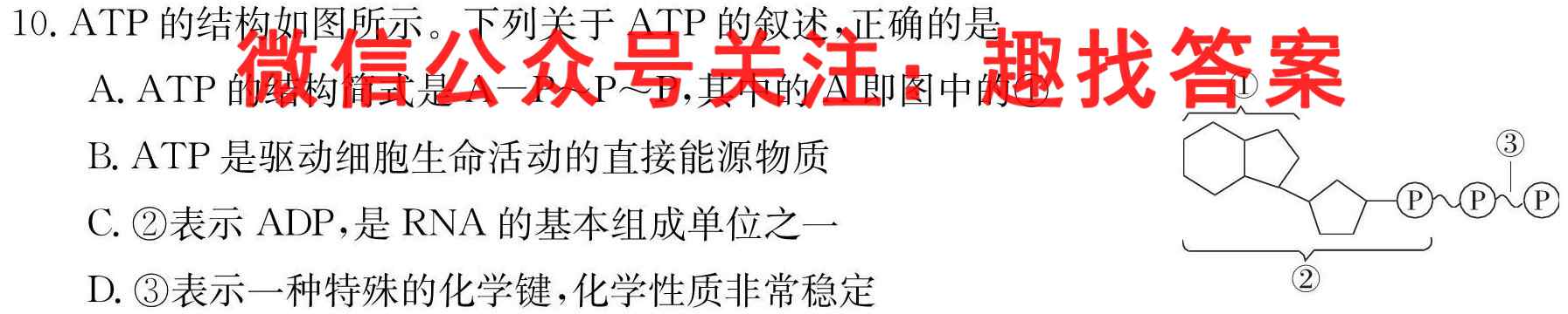 重庆康德一诊2023年普通高等学校招生全国统一考试高三第一次联合诊断检测生物