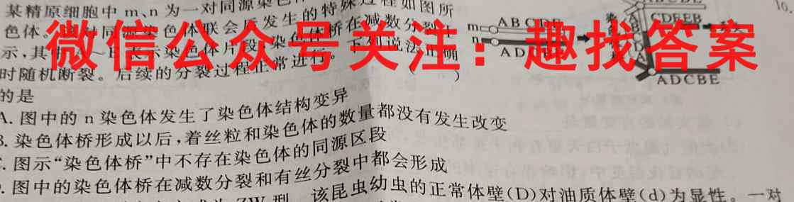 九师联盟2022-2023学年高三2月质量检测(X/L)生物