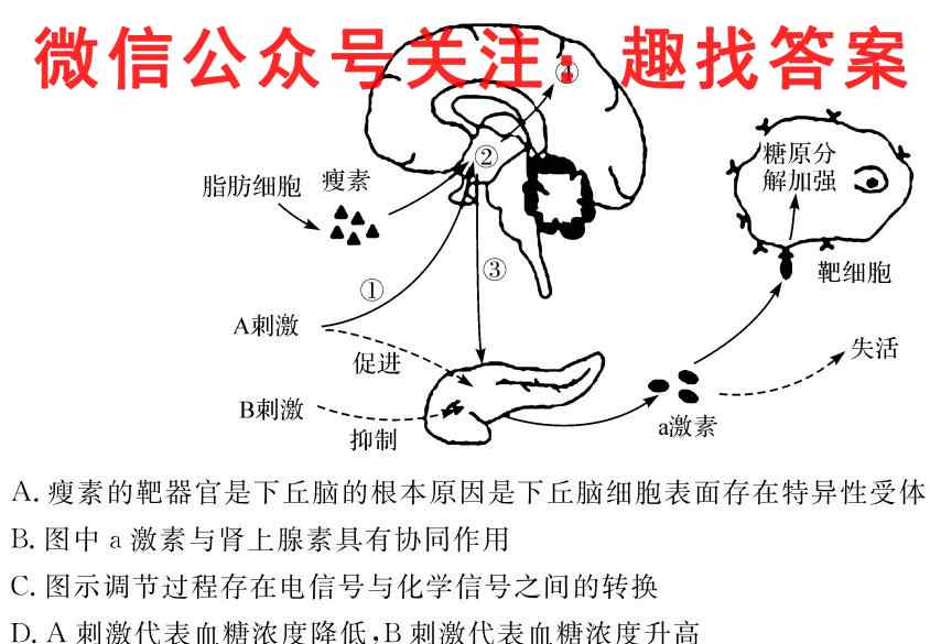 2023年普通高等学校招生统一考试模拟信息卷 新S3(八)8生物试卷答案