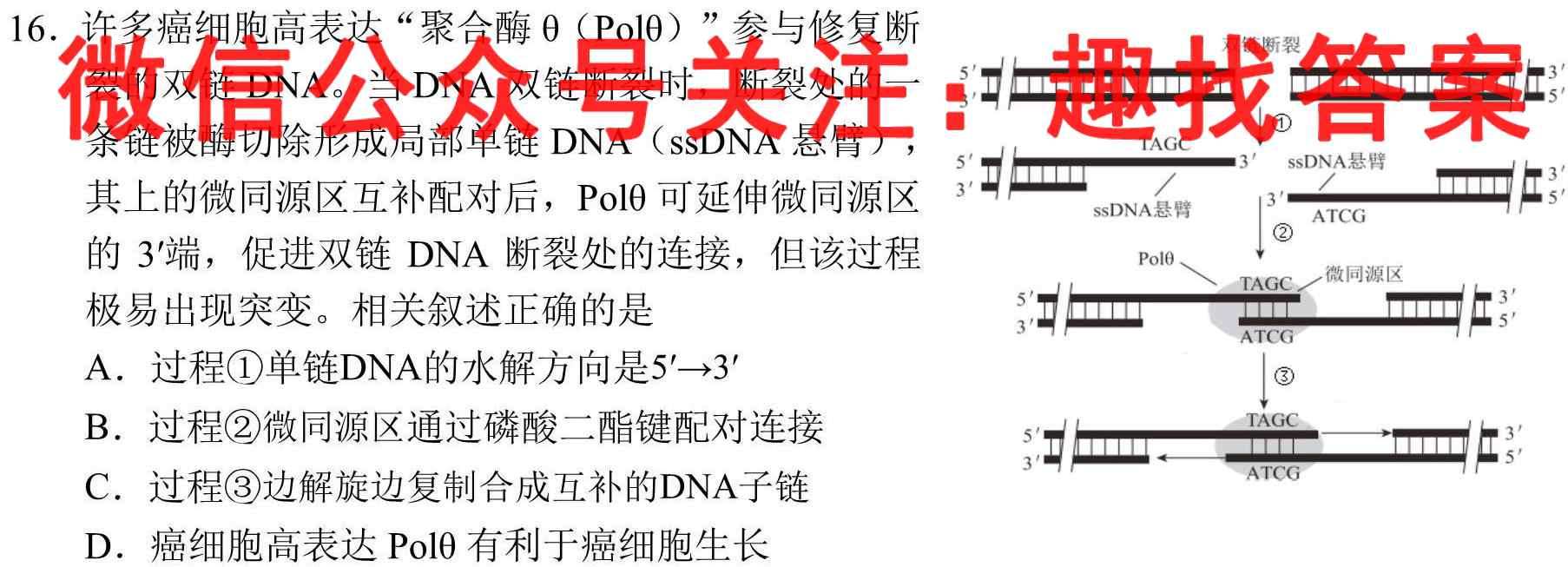 2023届衡水金卷先享题调研卷 广东版(六)生物试卷答案