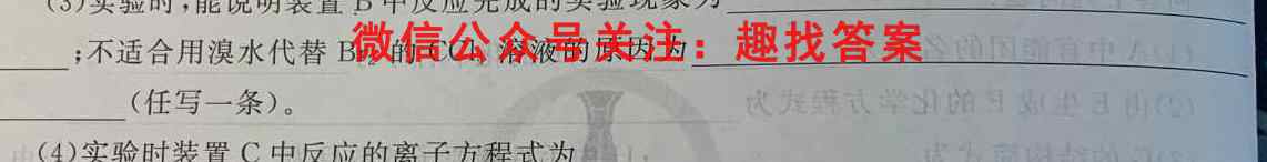 2023届百万联考高三考试1月联考(3003C)化学