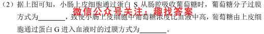 2023年普通高等学校招生全国统一考试名校联盟·模拟信息卷(一)1生物