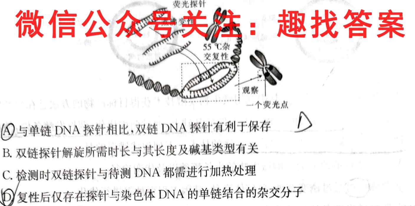 衡中同卷 2024-2023学年度高考分科综合测试卷 全国卷(二)2生物