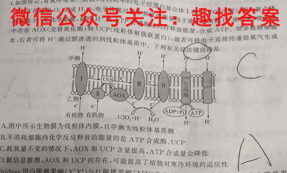 九师联盟2022-2023学年高三2月质量检测(X/L)生物