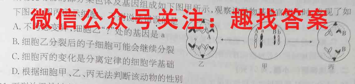 2024~23年度考前模拟演练卷四4(新)生物