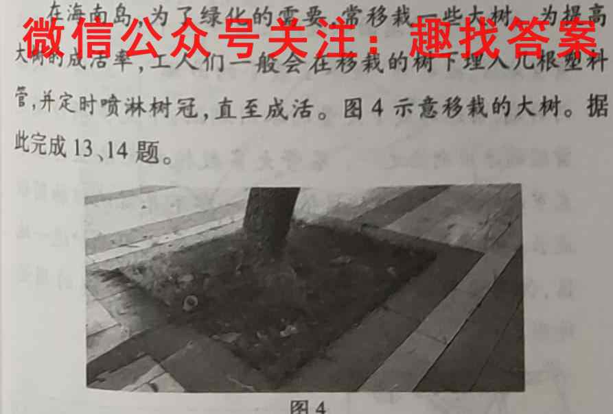 2023年普通高等学校招生全国统一考试仿真模拟试卷(三)3地理