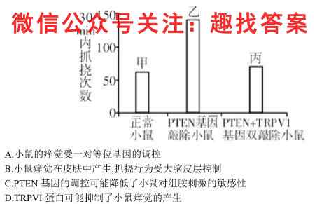 山西省2024~2023学年第一学期怀仁一中高三年级期末考试(23384C)数学