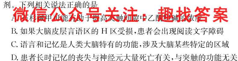 2023届高三九师联盟2月质量检测（新高考-河北）文理