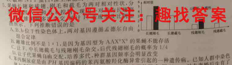 天一大联考2022-2023学年（下）高三年级联合考试文理