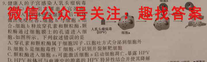 2024-2023学年度名校面对面高三大联考(2月)数学
