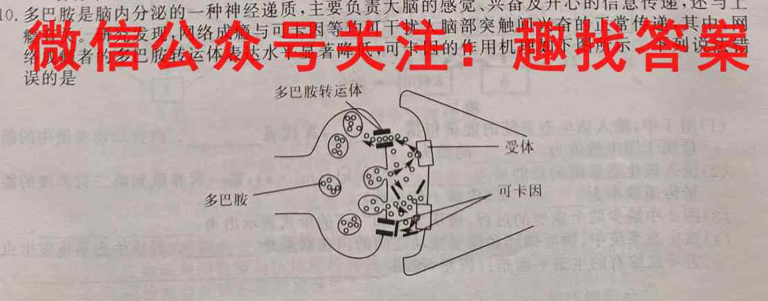 枣庄市2022~2023学年度高一第一学期学科素养诊断试题文理