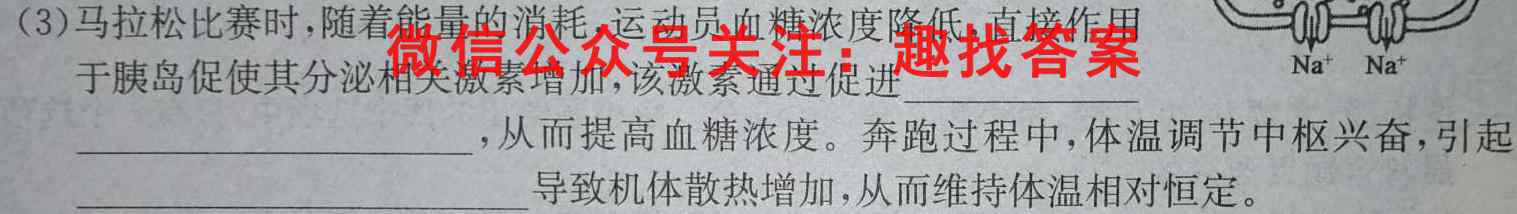 重庆市2024-2023学年高一上学期三校联合考试(高2025届)数学