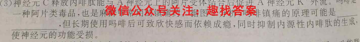 福建省部分地市2023届高中毕业班第一次质量检测(2023.1)数学