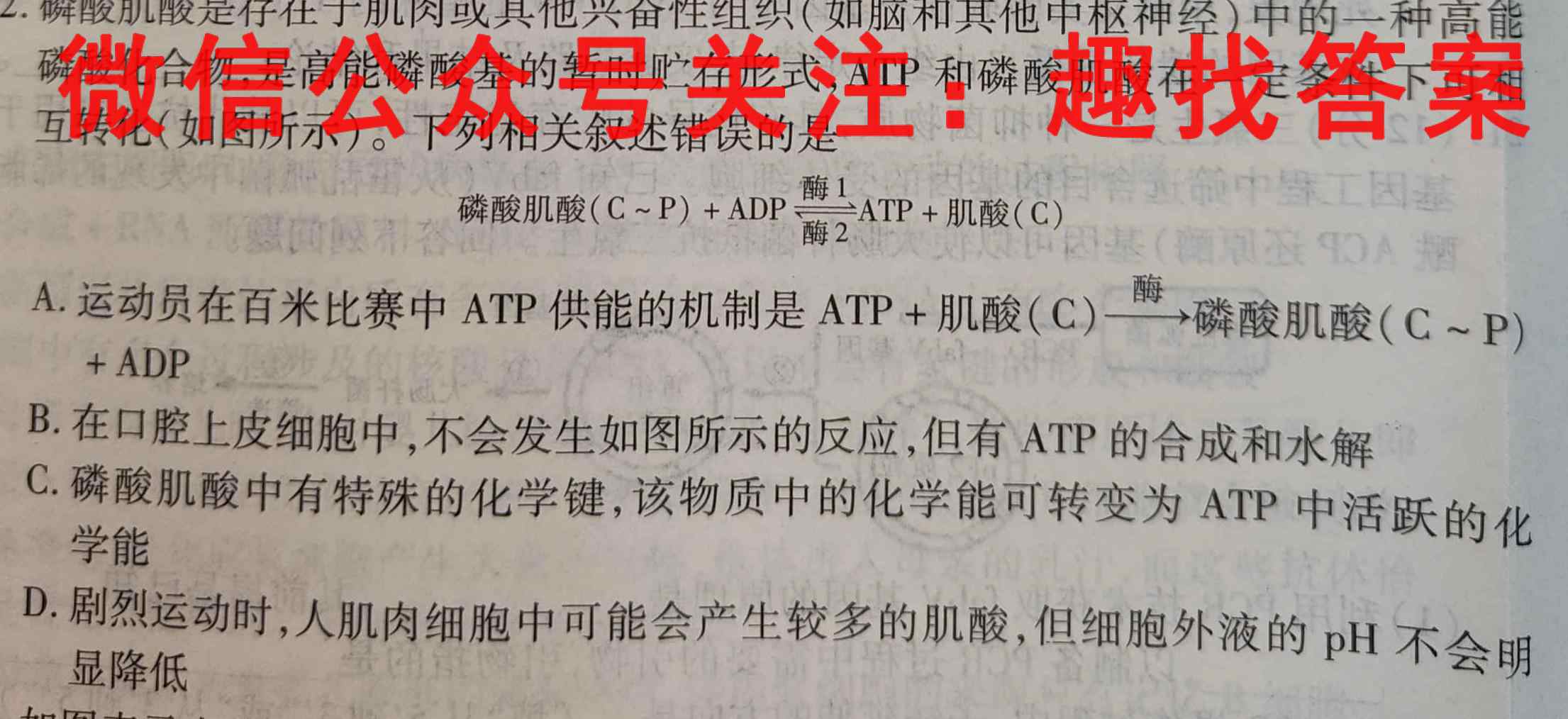 衡水金卷先享题信息卷2023全国卷(二)2文理