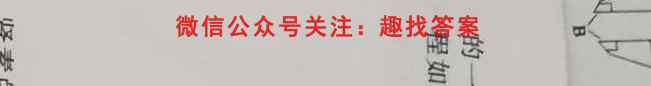 安徽第一卷·2023年九年级中考第一轮复*（十四）文理