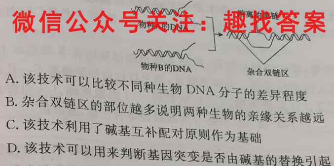 炎德英才大联考湖南师大附中2024-2023学年度高二第一学期期末考试数学