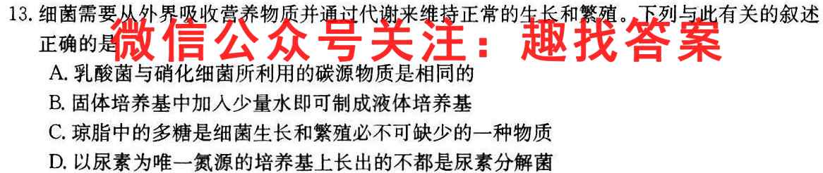 衡水名师卷2022-2023学年度高三分科检测提分卷