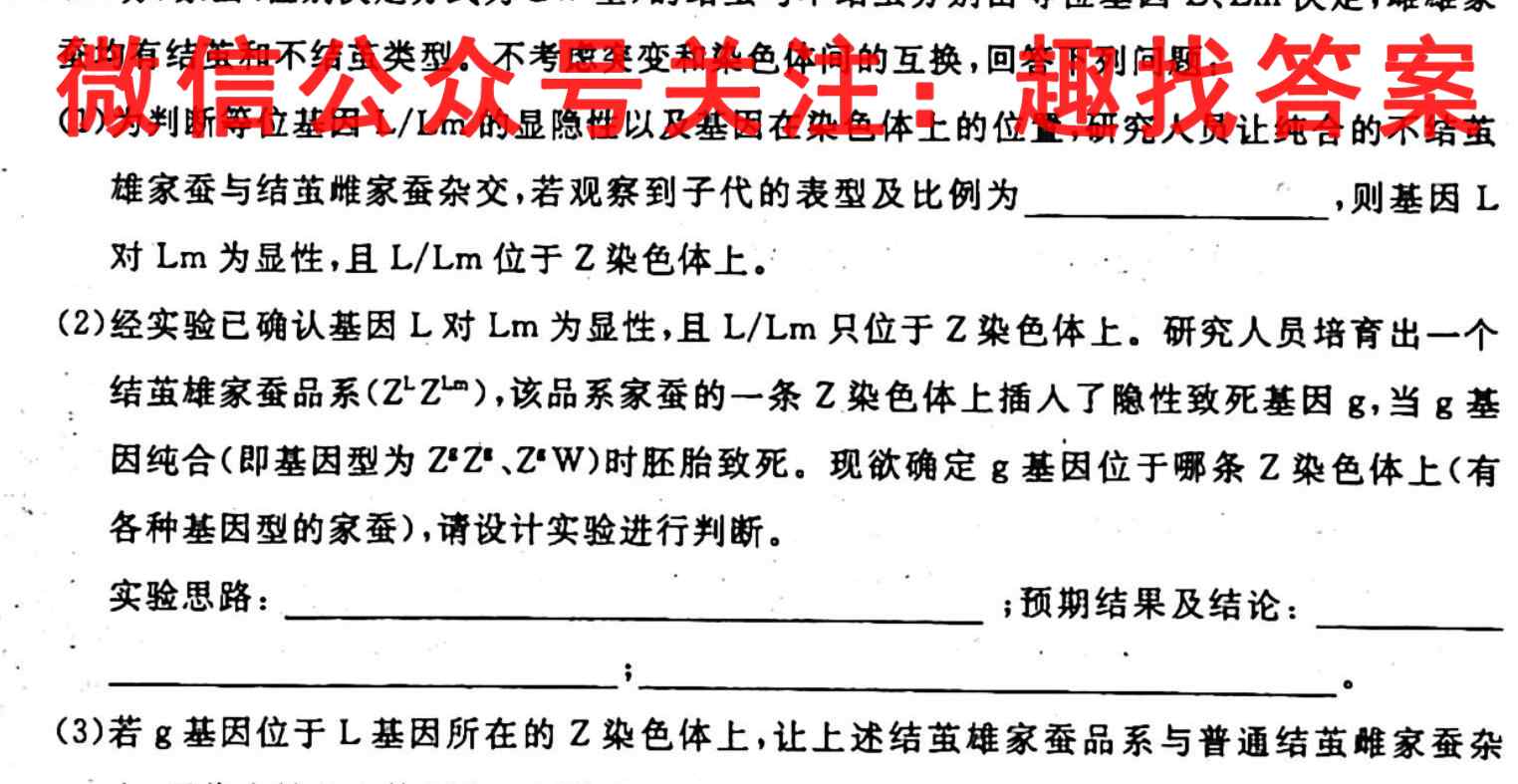 智慧上进2023届限时训练40分钟·题型专练卷(三)文理