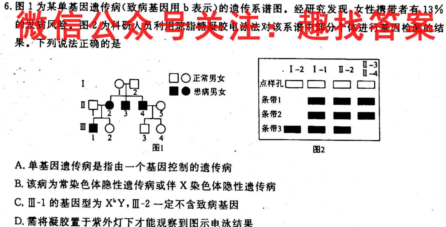 2023年普通高等学校全国统一模拟招生考试新未来2月联考文理