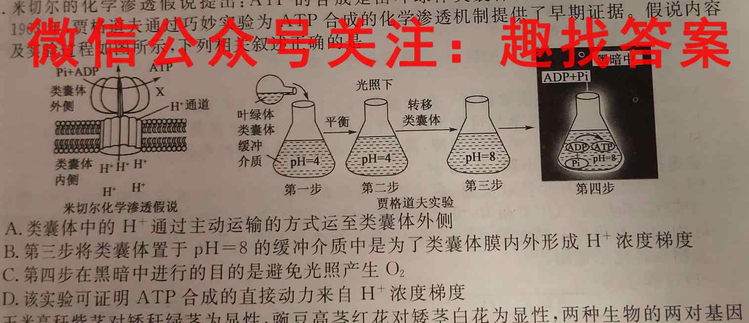 安徽第一卷·2023年九年级中考第一轮复习（七）数学