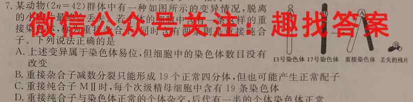 2022~2023学年安徽九年级上学期阶段检测(23-CZ60c)文理