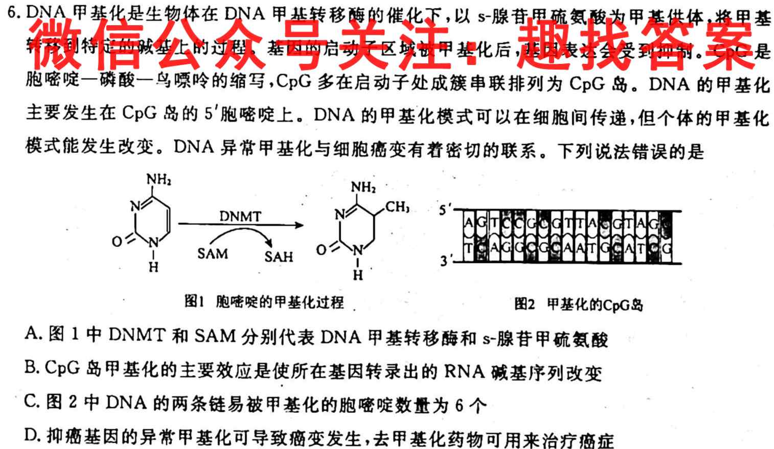 2023届新高考高三考试1月联考(806C)数学