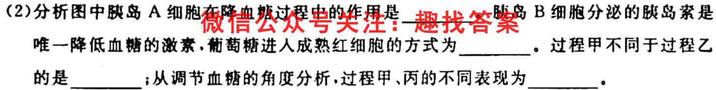 衡水名师卷2022-2023高三分科检测提分卷