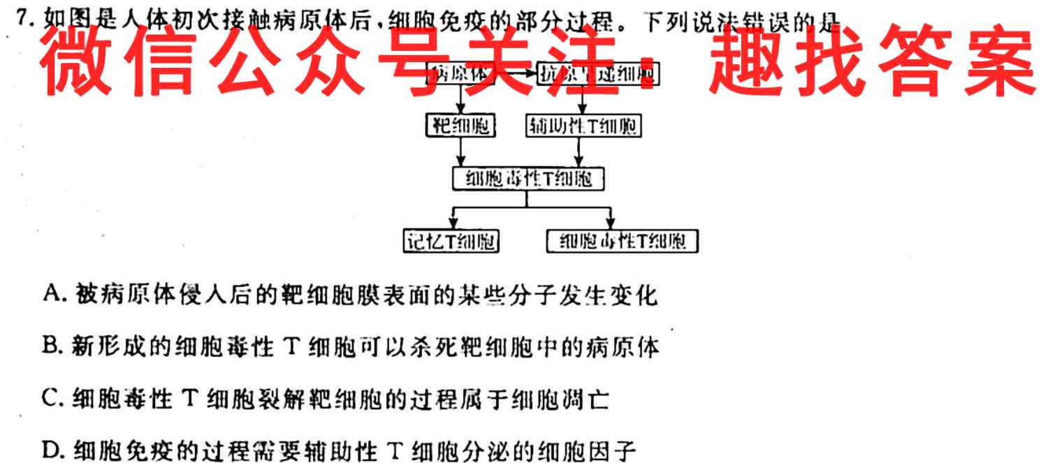 江西省2023届九年级结课评估(5LR)数学