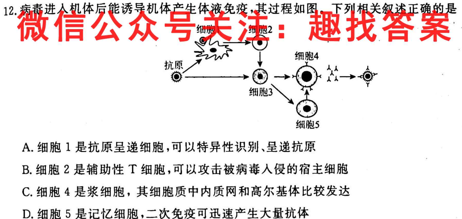 衡水金卷 2023届高三第八次阶段性考试(2月)生物