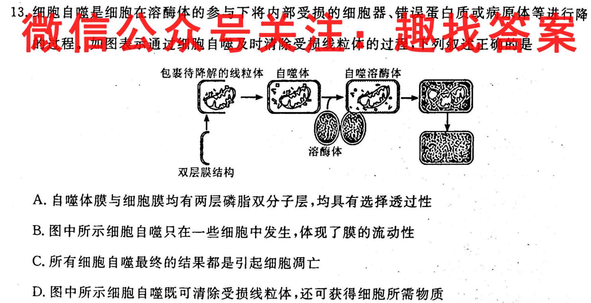 [合肥一模]合肥市2023年高三第一次教学质量检测生物