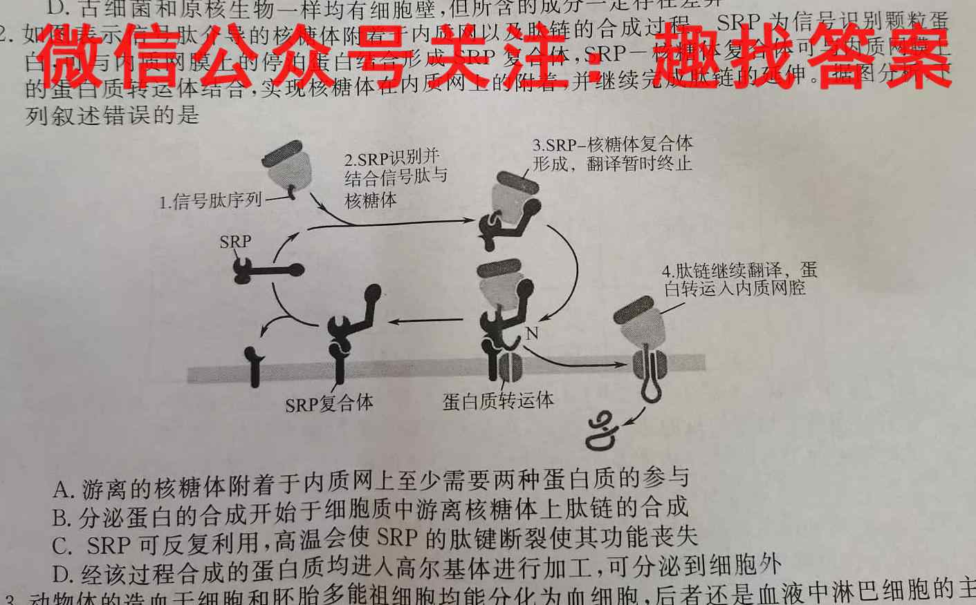 [泉州二检]泉州市2023届高中毕业班质量监测(二)2生物